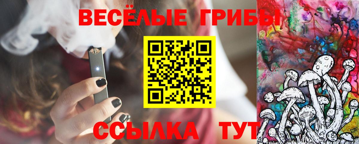 закладка  Вход с VPN  Тулун  Псилоцибиновые грибы MAGIC MUSHROOMS 